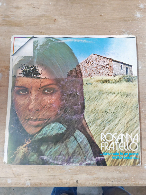 Disco vinile 33 giri