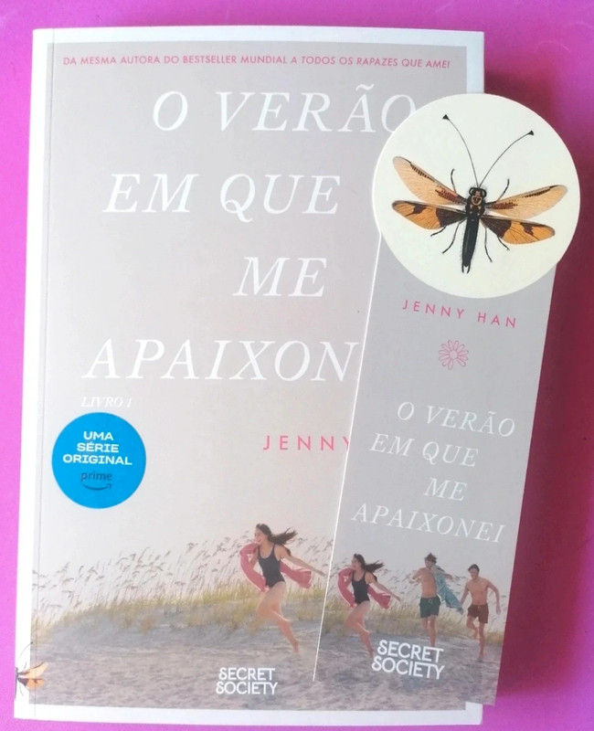 O Verão em que me apaixonei