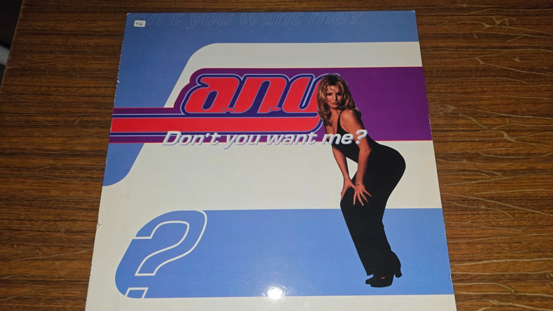 Vinilo any don't you want me