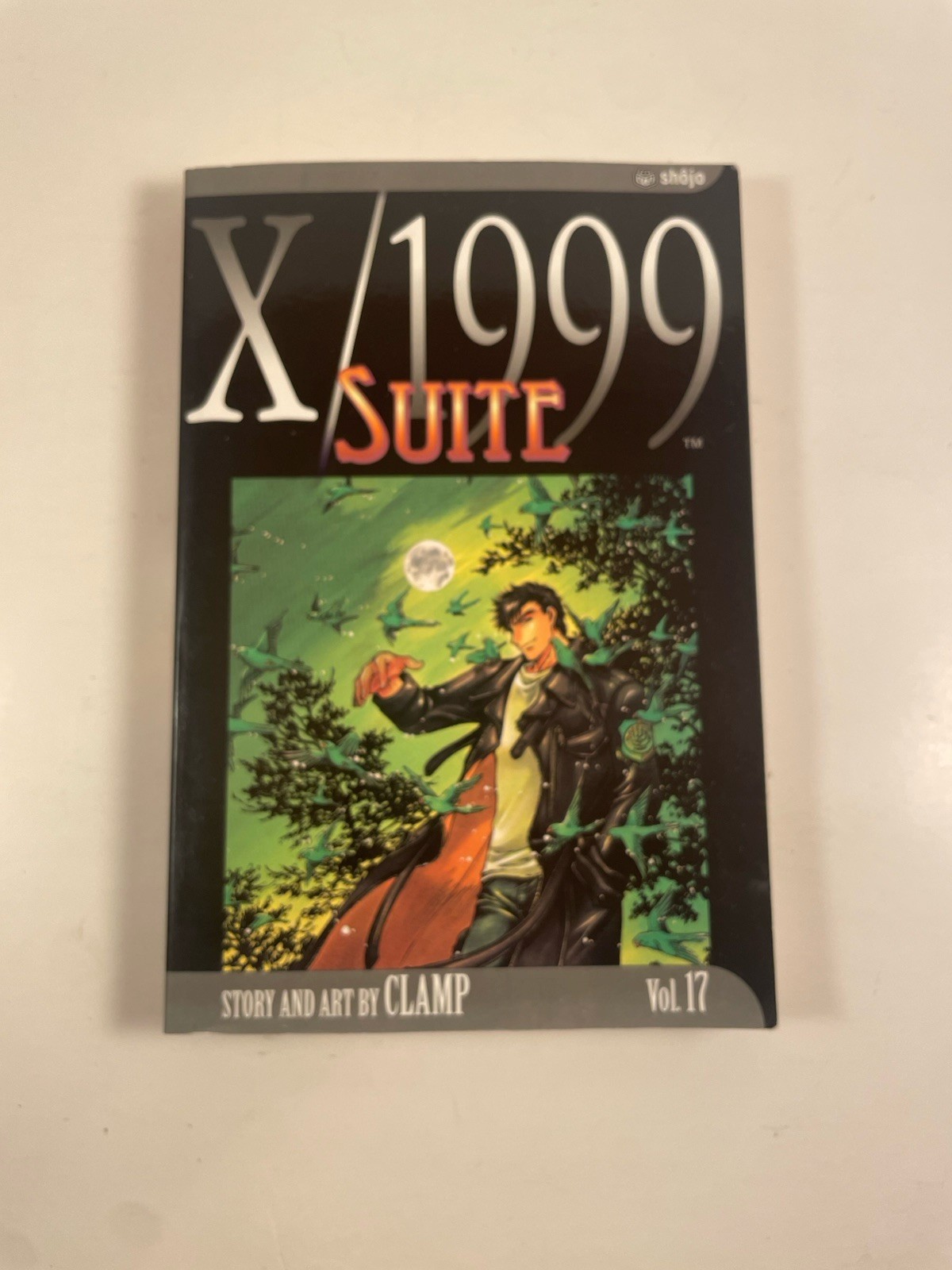 X/1999 Vol 17 Suite Prima Stampa Fuori Produzione Manga CLAMP Viz Inglese