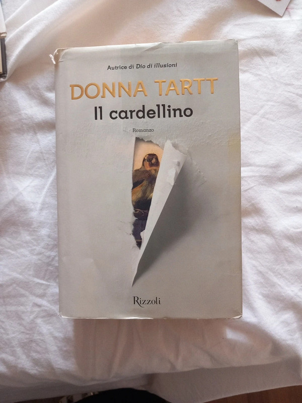 Libro romanzo avvincente