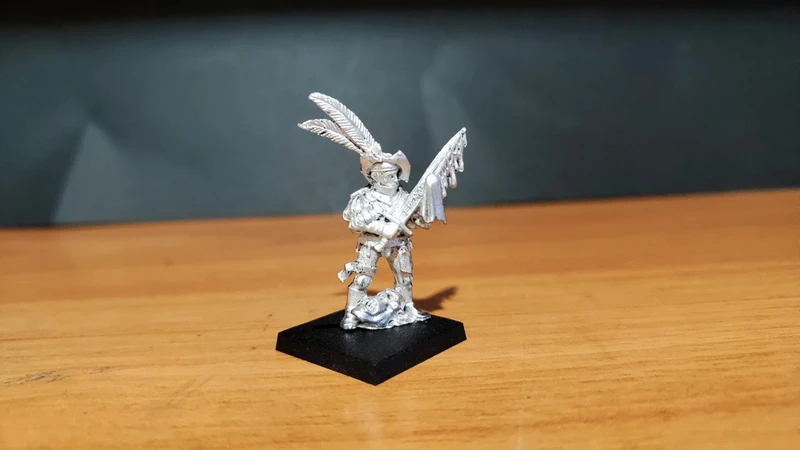 Empire - captain with gore sword