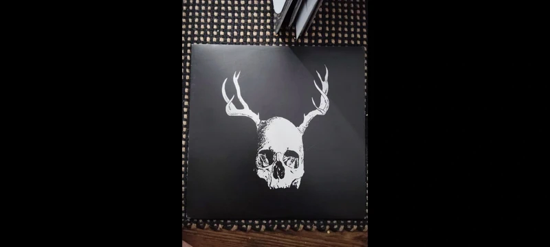 Vinyle Secret Fun Club – Skull With Antlers