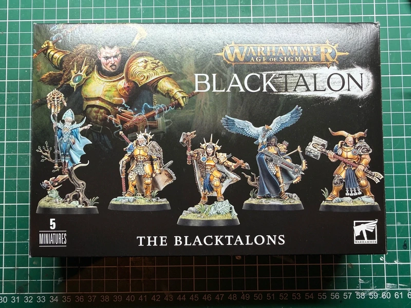 Age of Sigmar Blacktalons