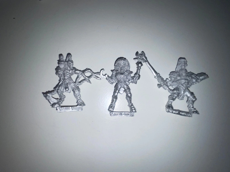 Warhammer The Old World Slaanesh Champion 4th edition