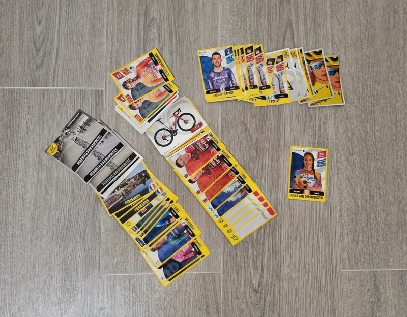 Cartes Panini