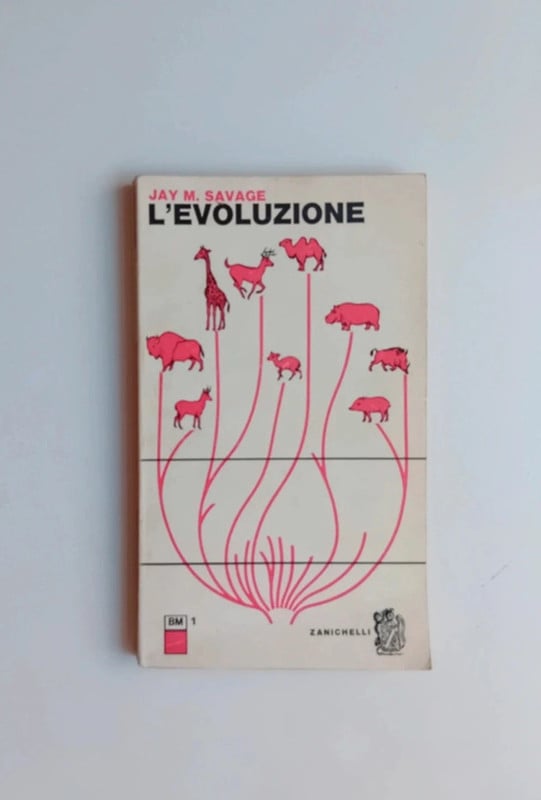 L'evoluzione di Jay M. Savage