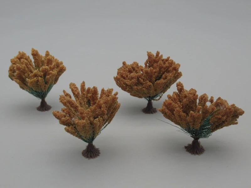 4 plantes à plumeaux marron clair 4 cm