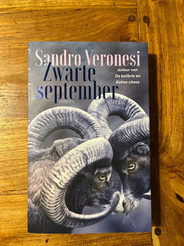Sandra Veronesi - Zwarte september