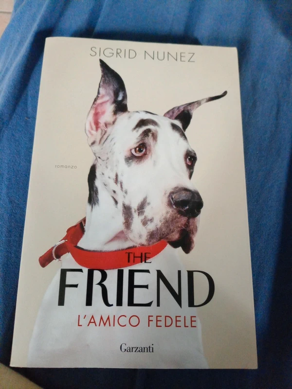 Libro nuovo