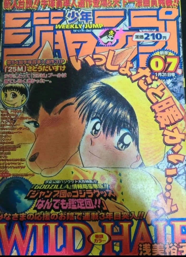 Weekly Shonen Jump 1998 numero 7 pezzo unico prima apparizione di Usopp raro