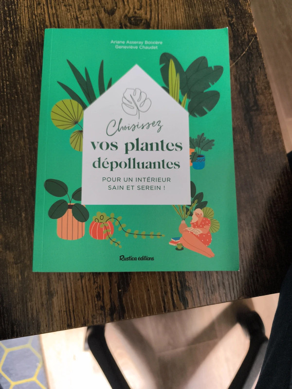 Choisissez vos plantes dépolluantes