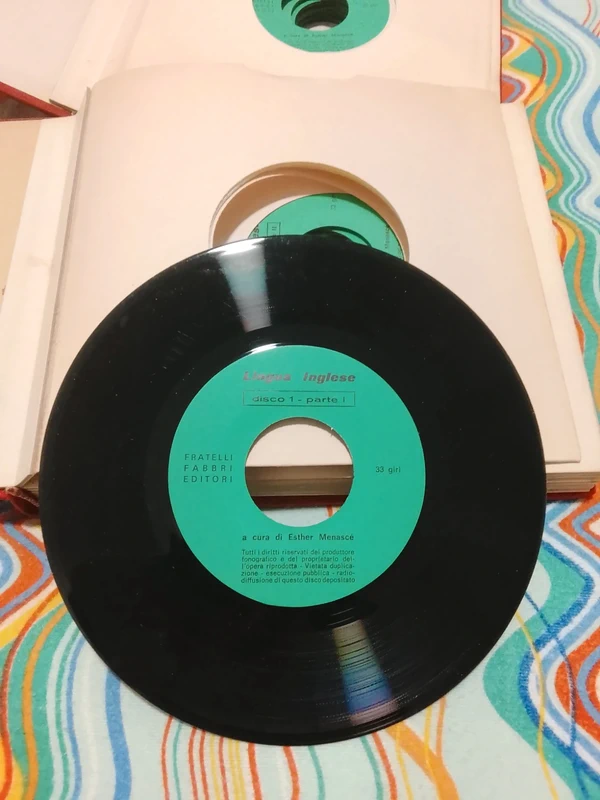 17 dischi in vinile