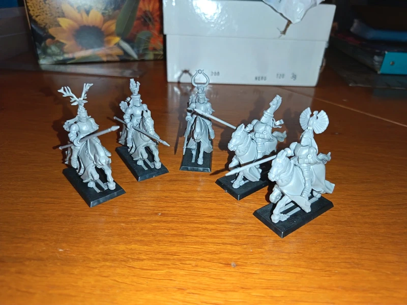 Cavalieri del Regno Bretonniani (5 miniature) Warhammer