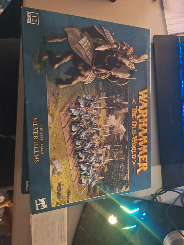 Silver Helms Warhammer High Elf Realms