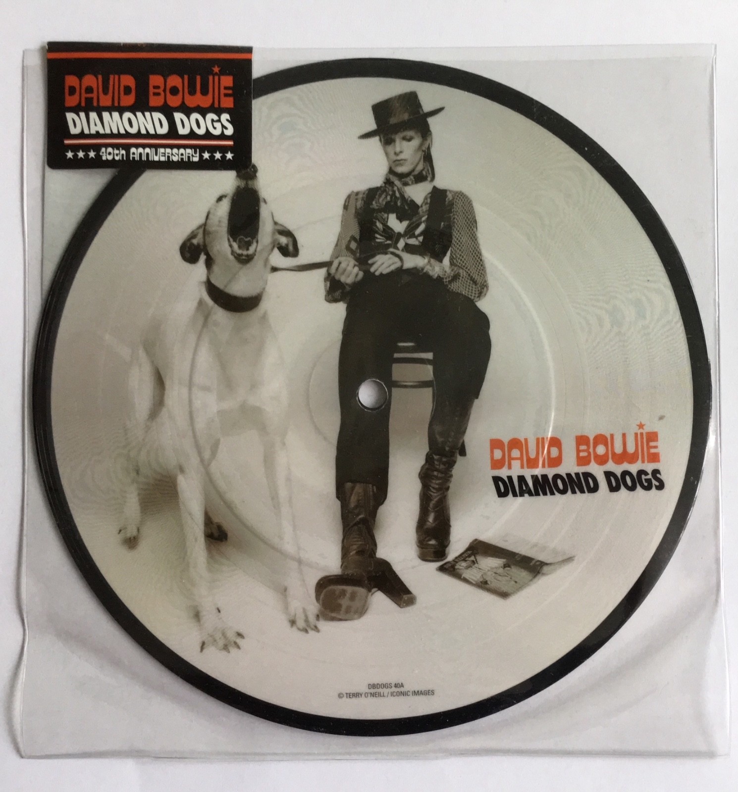 DAVID BOWIE -Diamond Dogs- Rare UK 40th Anniversary Picture Disc (Vinyl Record)