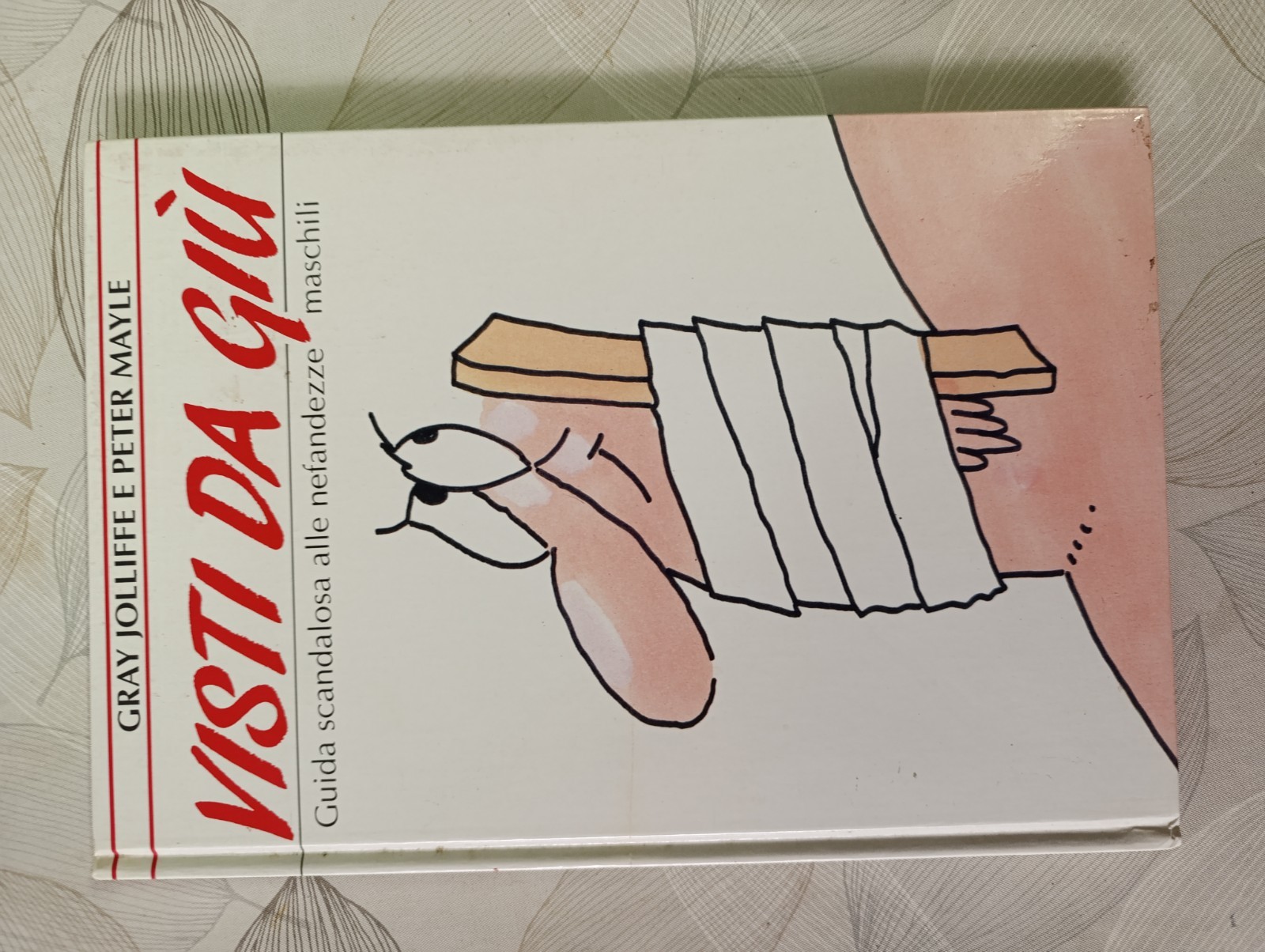 Gray Jolliffe, Peter Mayle Visti da giù guida semiseria maschi 1998 cartonato