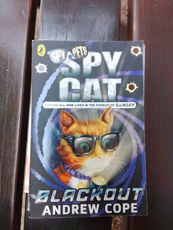 Spy Cat Blackout