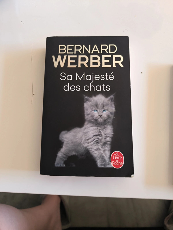 Sa majesté des chats