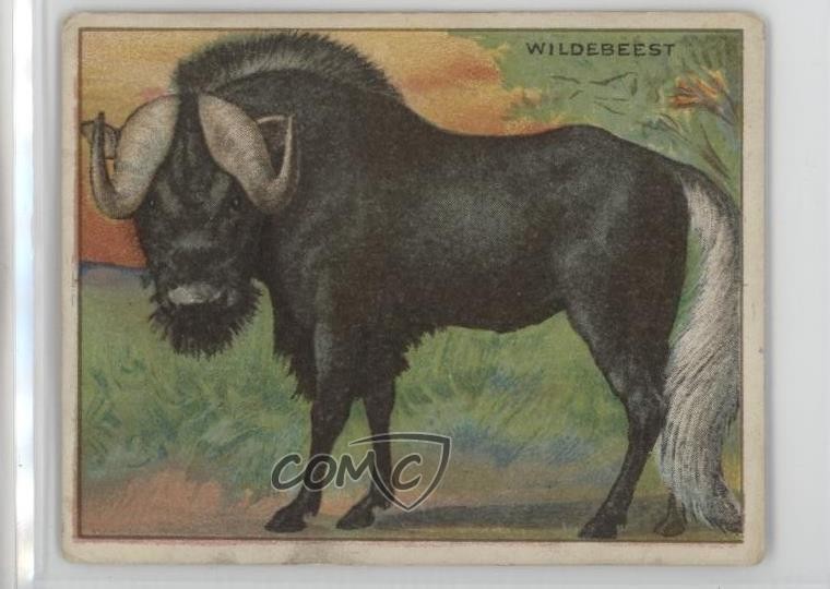 Tabacco serie animali Hassan 1909-11 T29 gnu 14rq