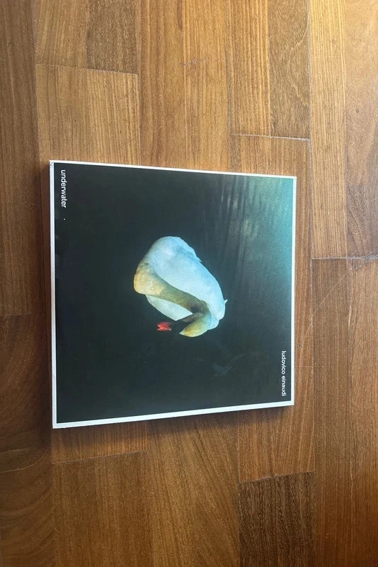 vinile nuovo di ludovico einaudi