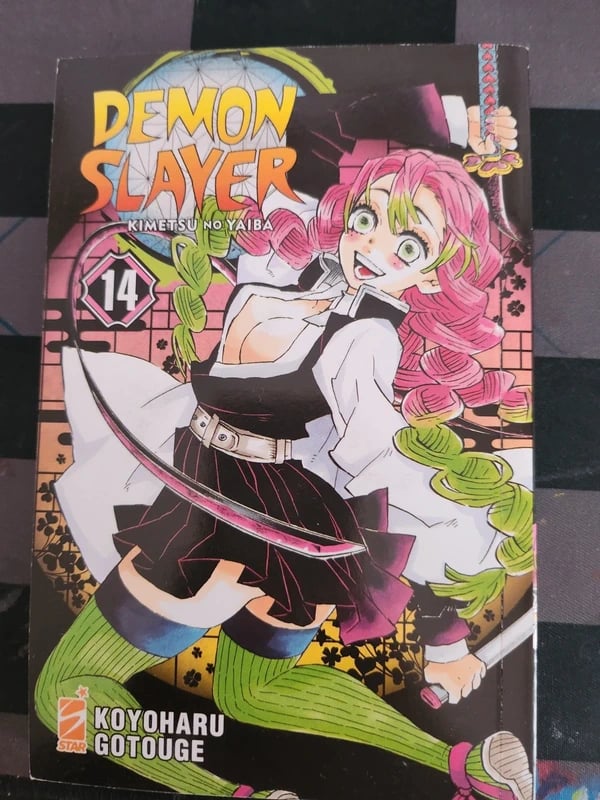 Demon Slayer v14