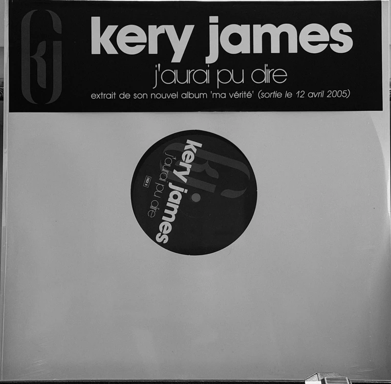 Kery James / J'aurai pu Dire