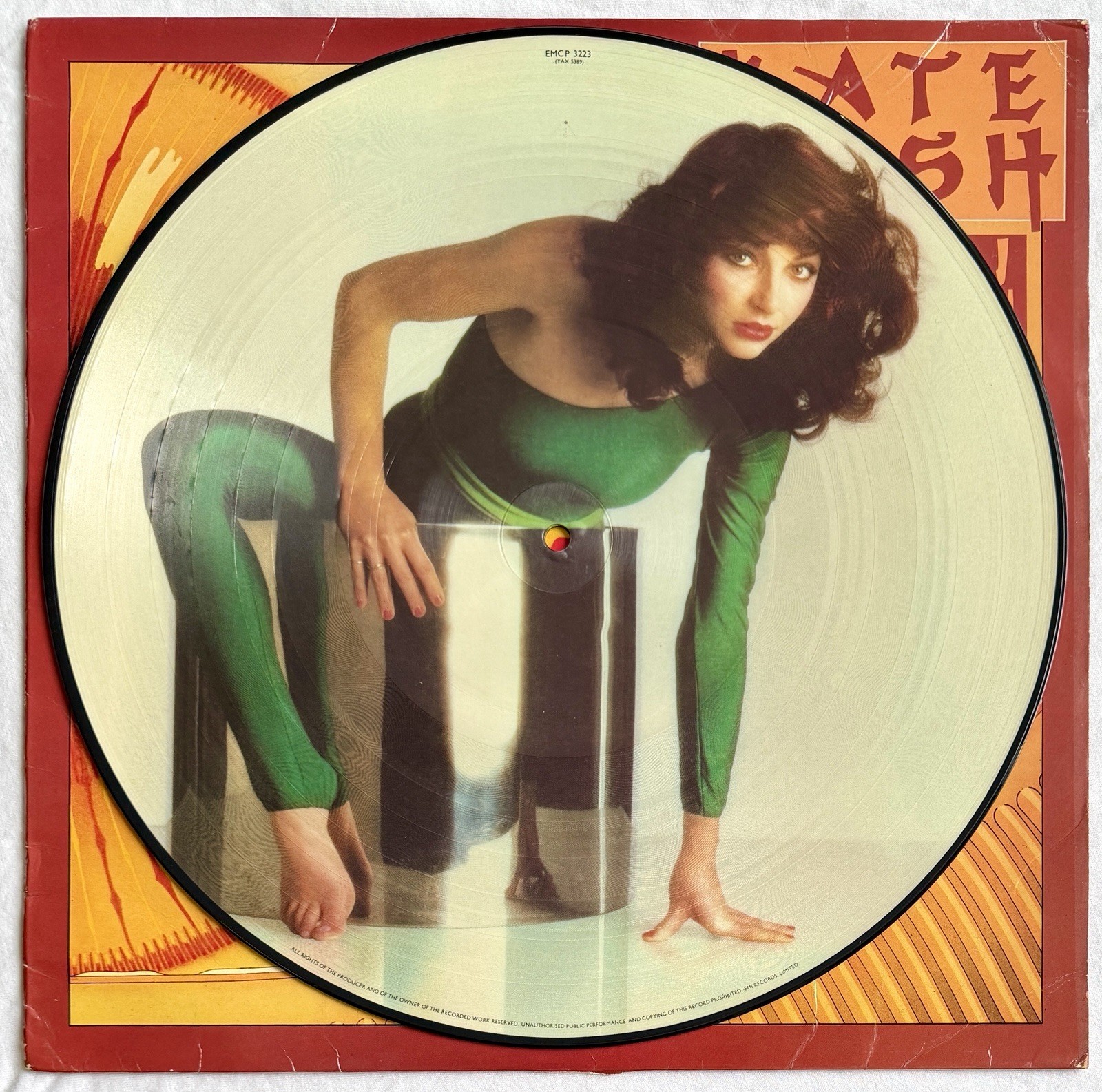 KATE BUSH - The Kick Inside - Rare 1st Press UK Picture Disc LP (Vinyl Record)