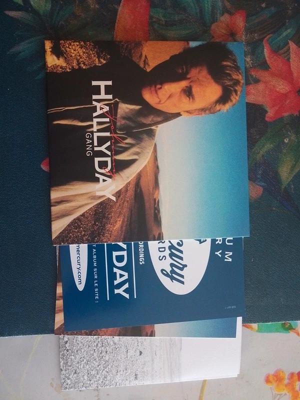 Johnny Hallyday Gang