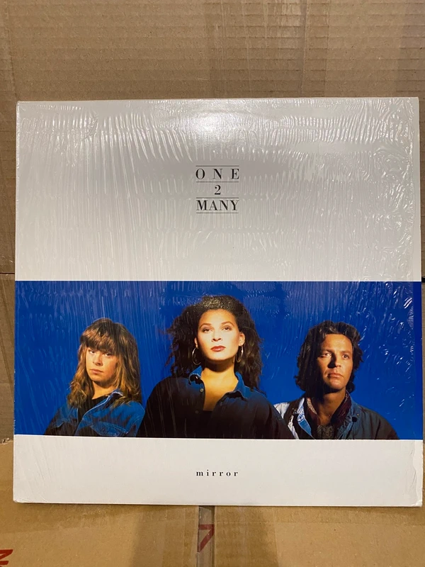 Diisco vinilo ONE 2 MANY