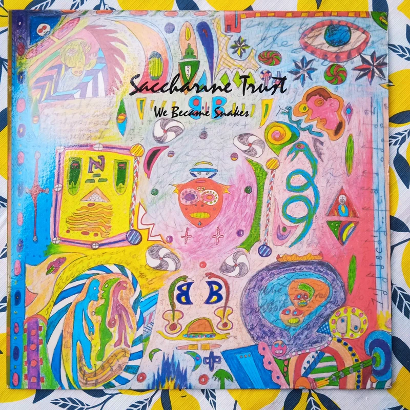 Saccharine Trust – We Became Snakes