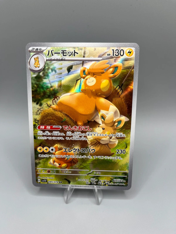 pawmot ar jap nm