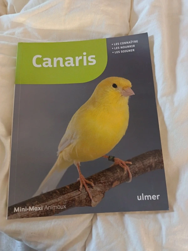 Canaris - Markus Hubl