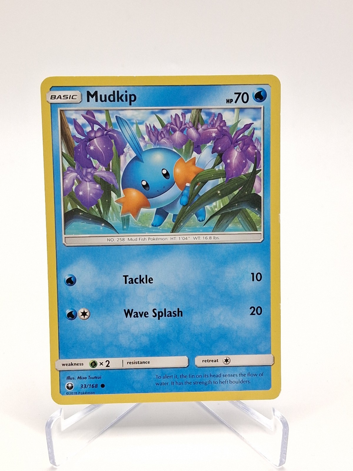 Mudkip 33/168 Sm-Celestial Storm Regular