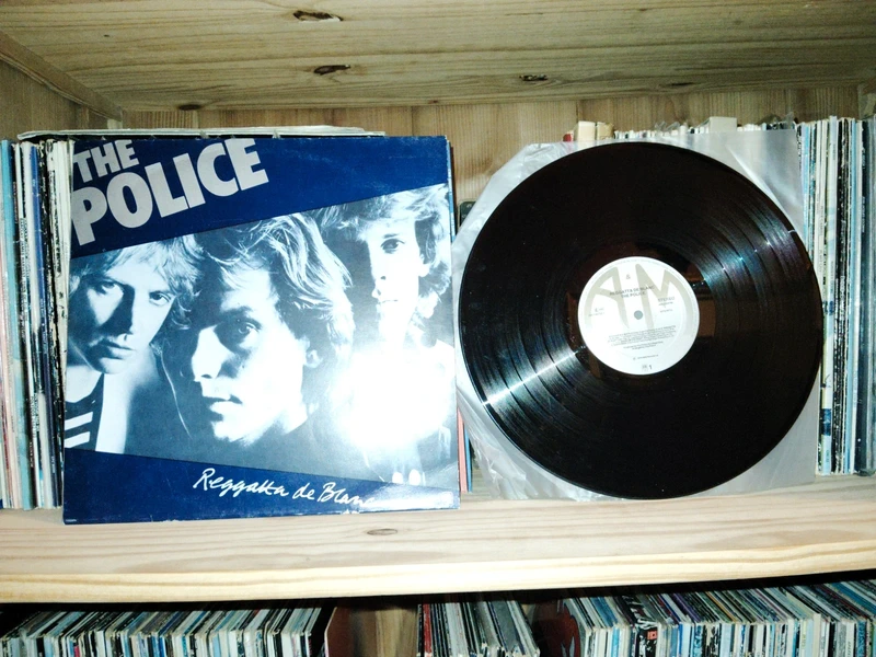 Vinyle the Police