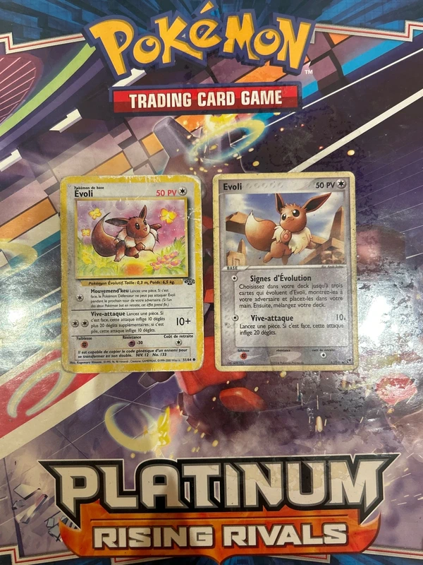 Lot 2 cartes Pokémon Évoli vintage – Jungle 1999 & EX 2004 VF
