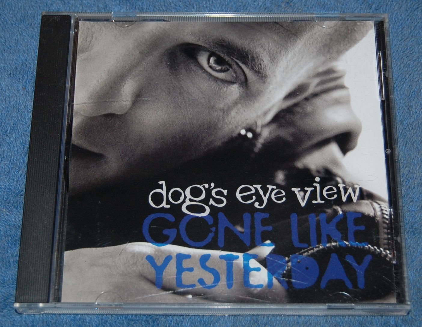 Gone Like Yesterday, Dog's Eye View CD, Complete & Tested