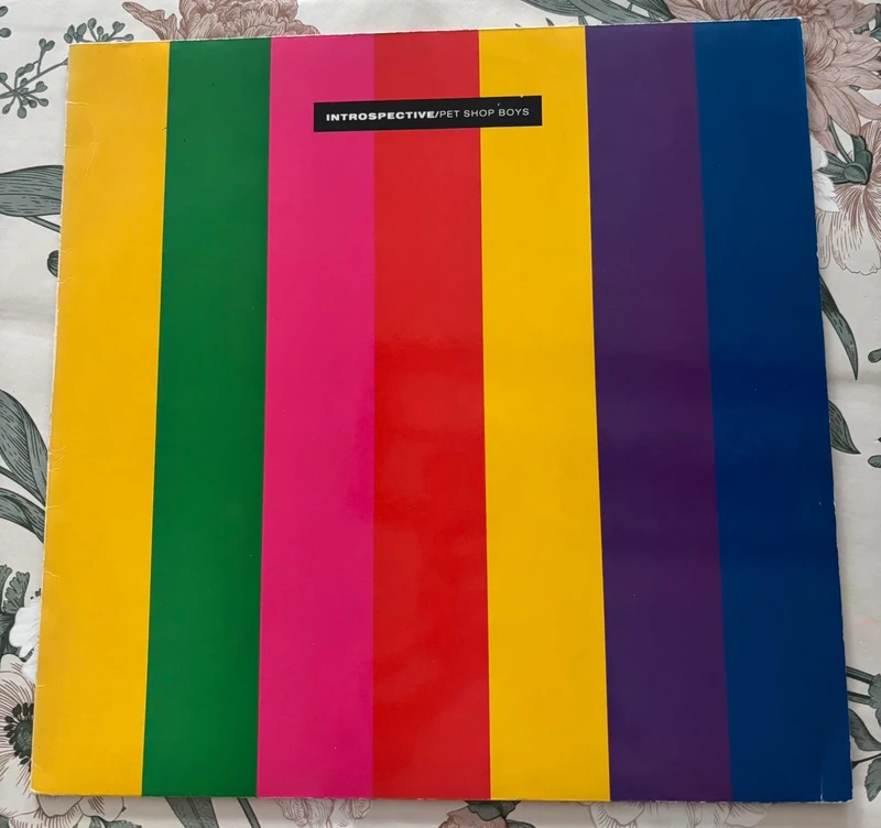 Pet Shop Boys - Introspective