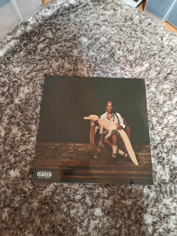 Vinyle doechii alligator bites never heal