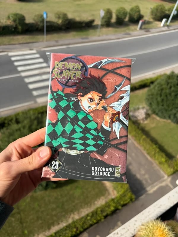 Demon Slayer variant vol. 23