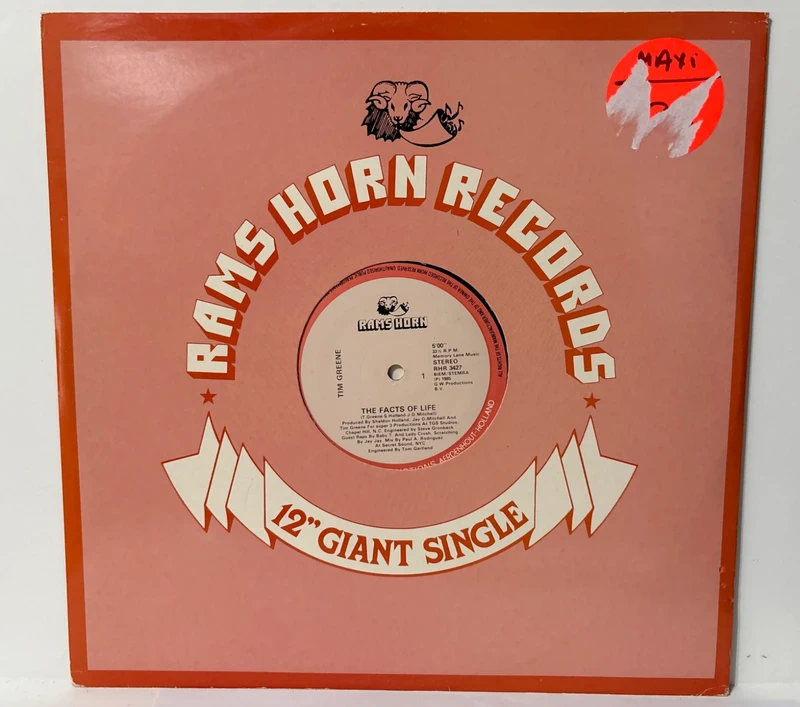 Maxi Single 12" - Tim Greene - The facts of Life