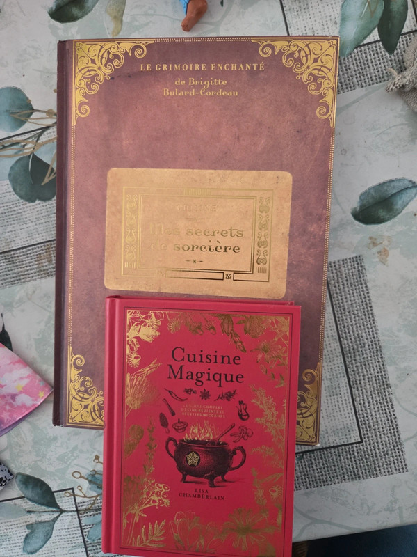 Livres de cuisine de sorcière