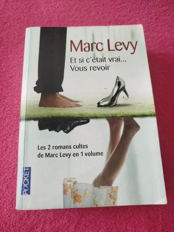 Et si c'était vrai vous revoir