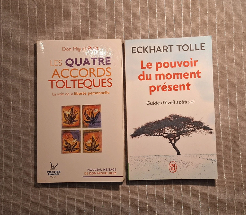 Lot 2 livres de développement personnel.