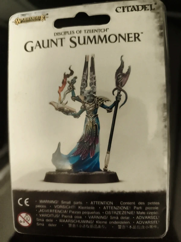 Disciples of tzeentch gaunt summmoner