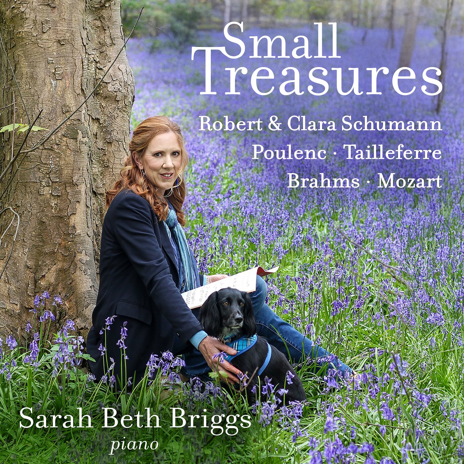 Sarah Beth Briggs Sarah Beth Briggs: Small Treasures (CD) Album