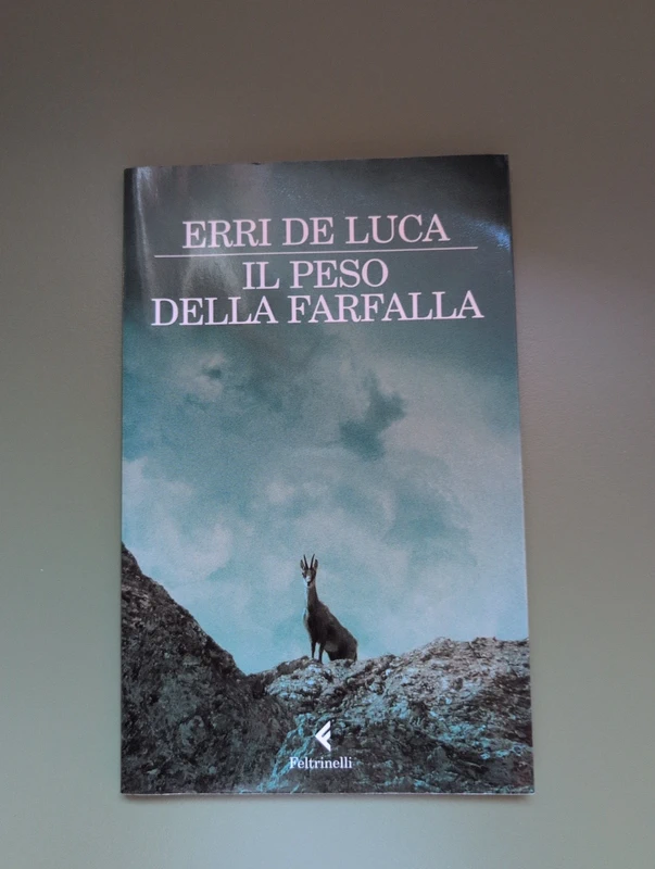 Il peso della farfalla