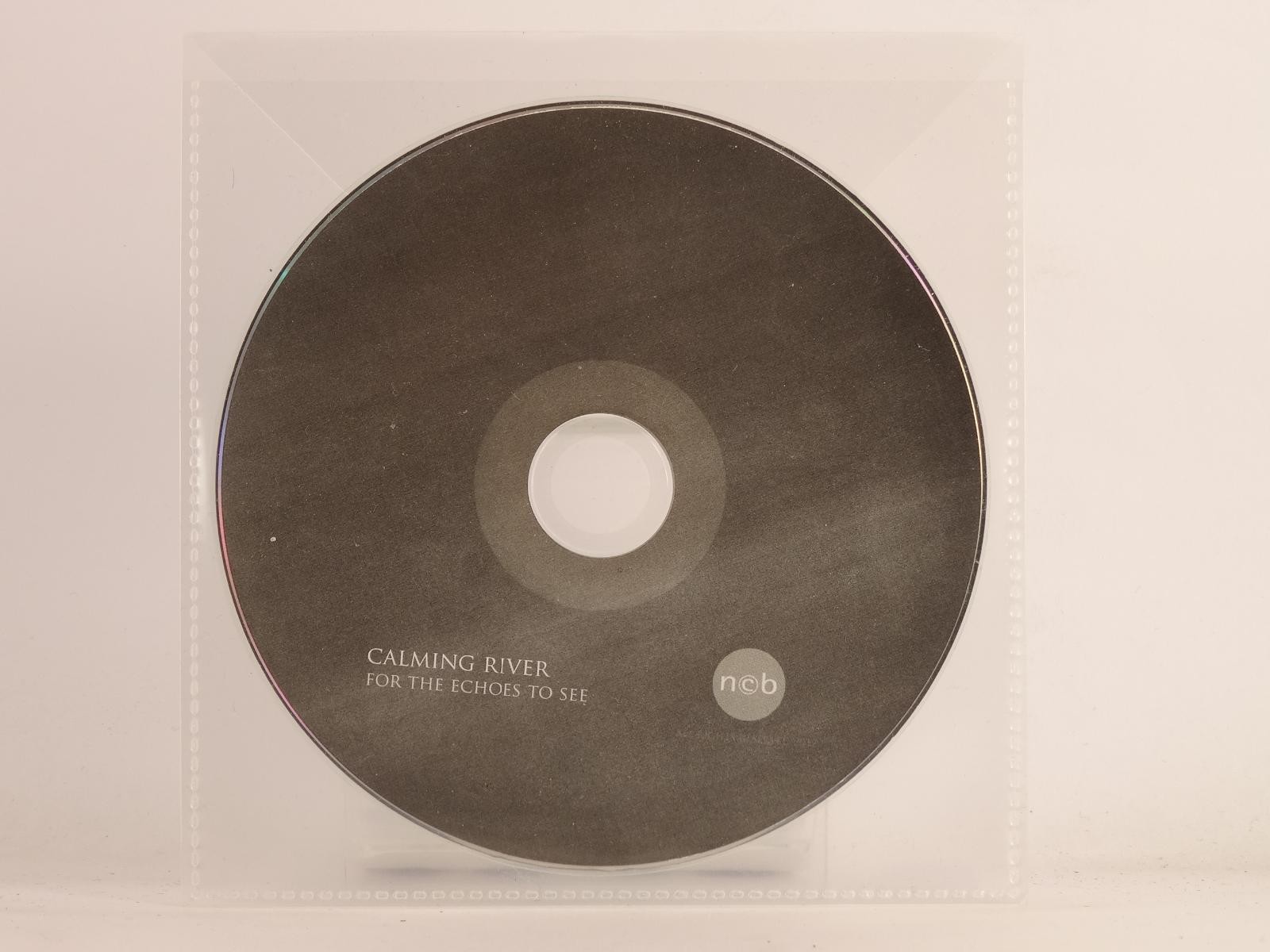 CALMING RIVER FOR THE ECHOES TO SEE (F31) 1 Track Promo CD Single plus Plastic S