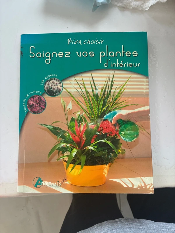Soignez vos plantes d'intérieur