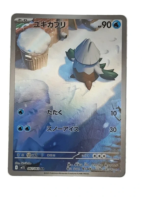 Blizzi 067/063